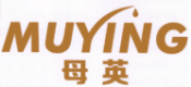 母英