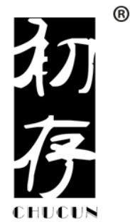 初存