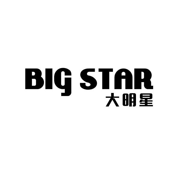 大明星  BIG STAR
