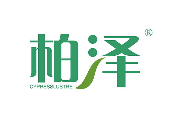 柏泽cypresslustre-第21类商标转让-钉标网