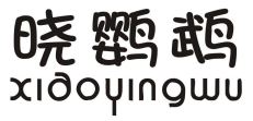 晓鹦鹉 XIAOYINGWU