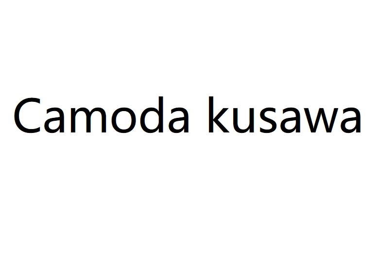 Camode kusawa