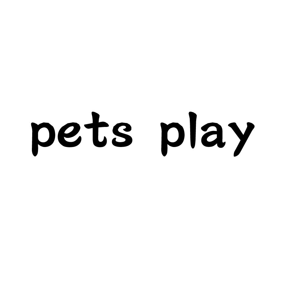 pets play