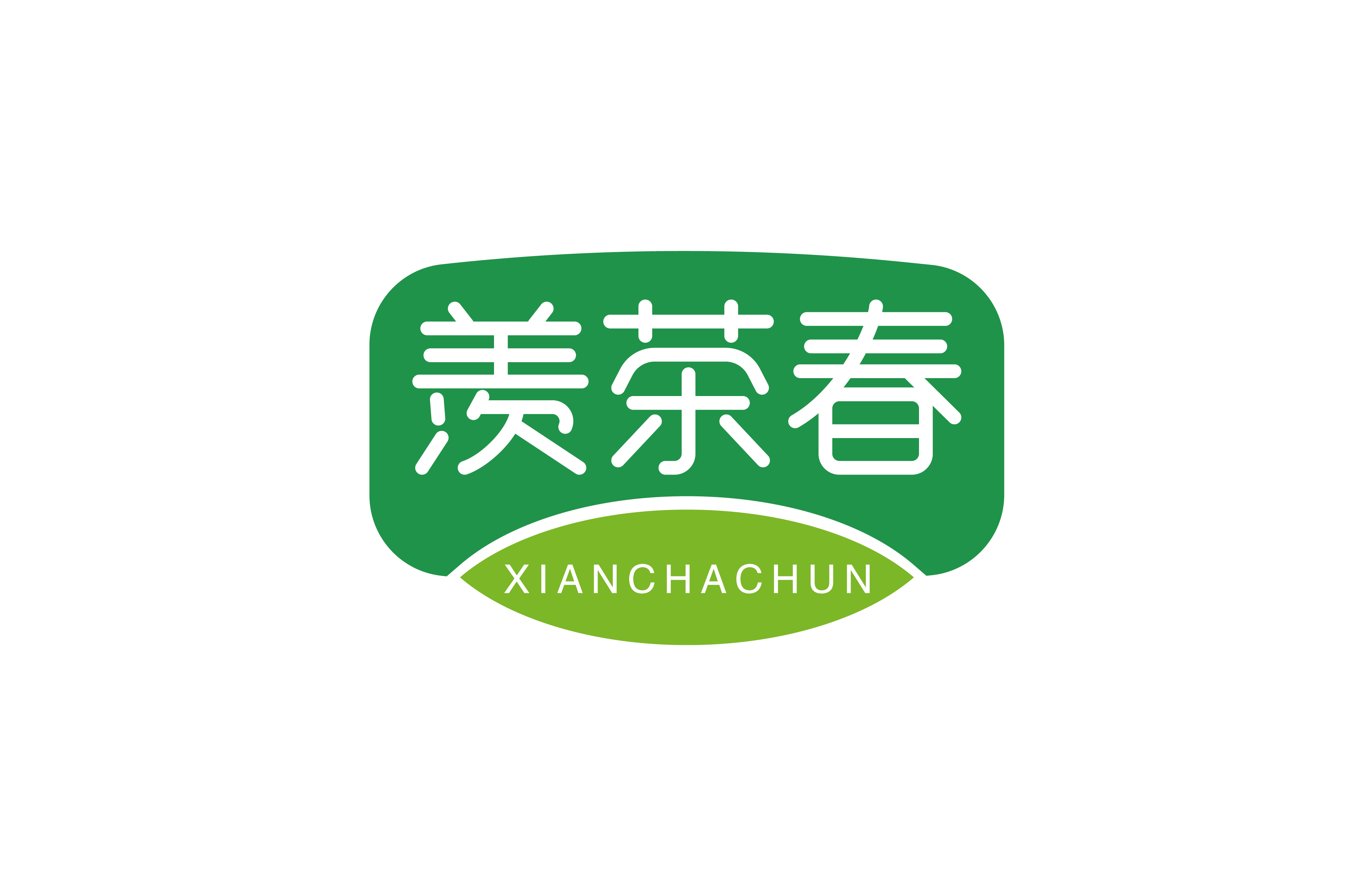 羡茶春 XIANCHACHUN