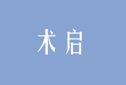 术启