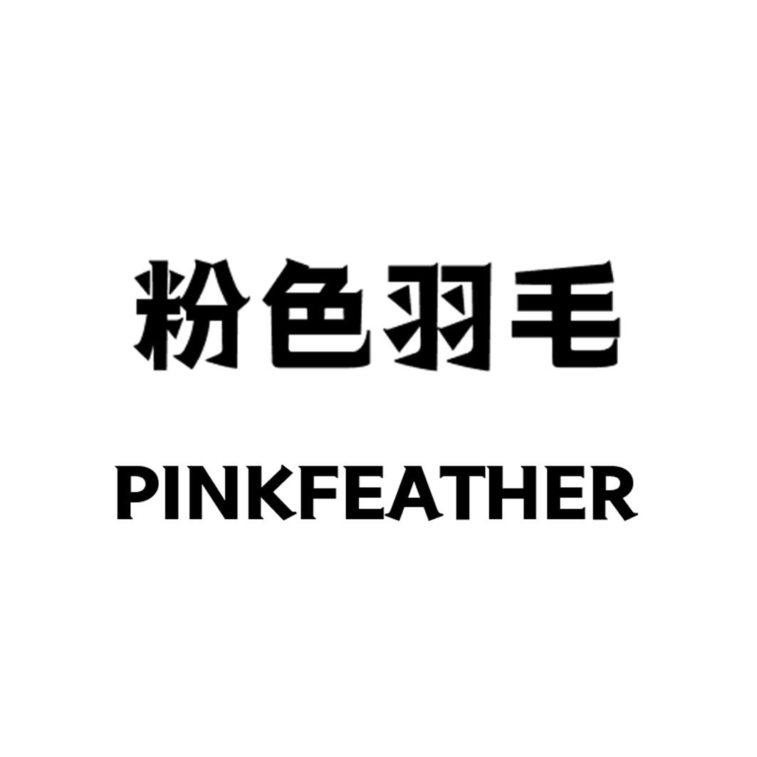 粉色羽毛 PINKFEATHER