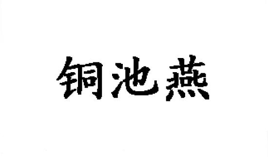 铜池燕