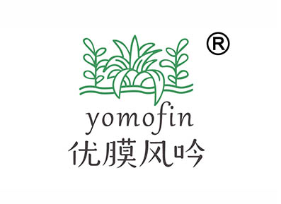 优膜风吟