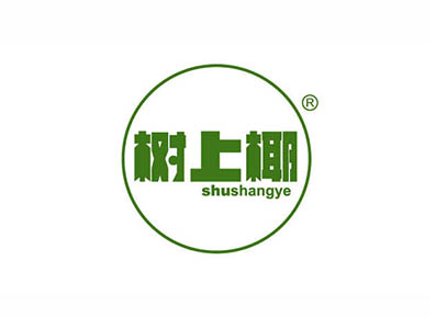 树上椰
