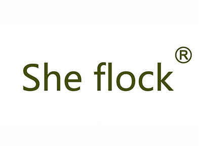 SHE FLOCK（英译：她的弗洛克）