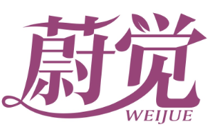 蔚觉WEIJUE