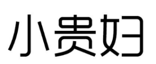 小贵妇