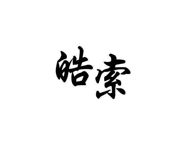 皓索