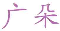 广朵