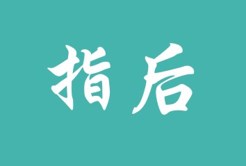 指后