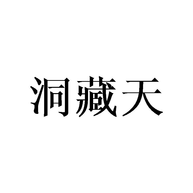 洞藏天
