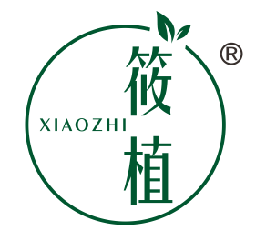 筱植