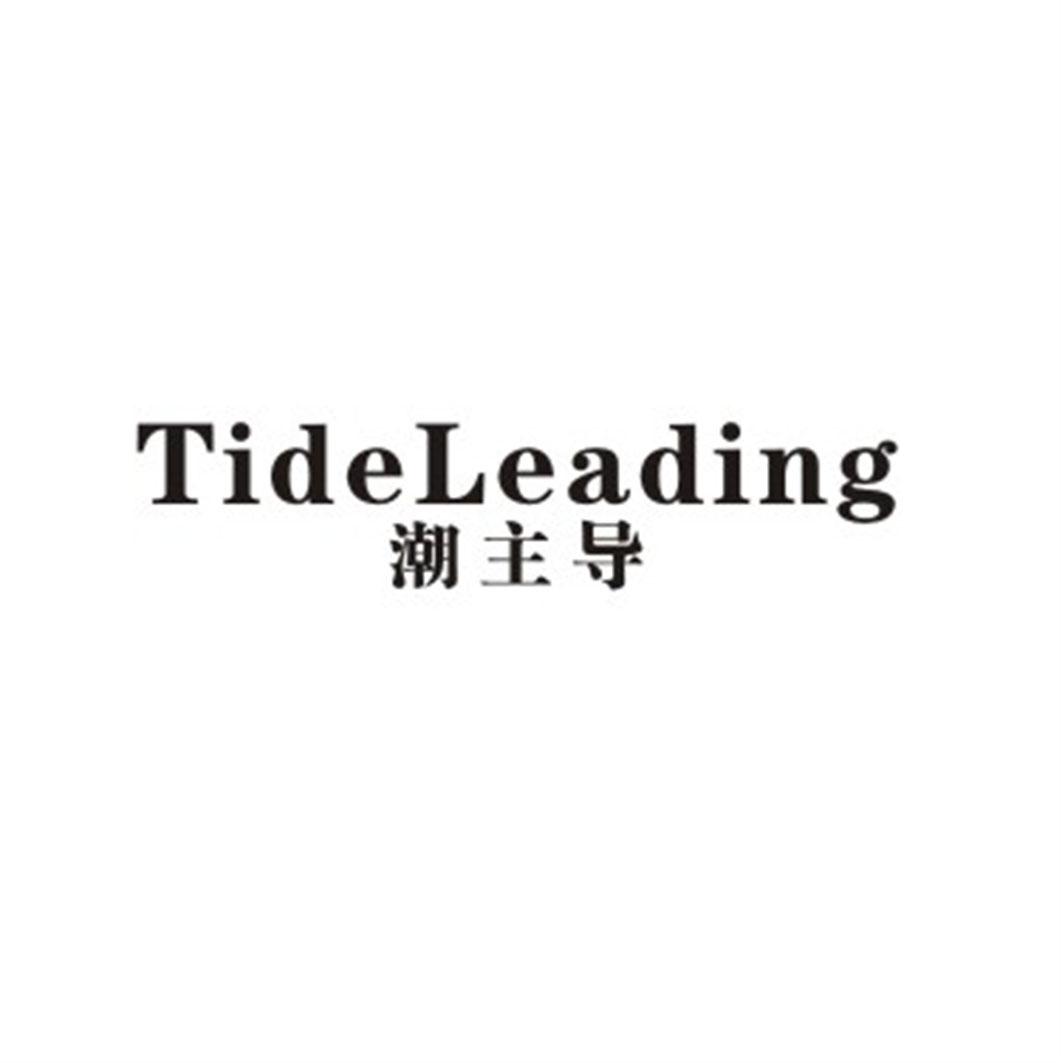 潮主导 TIDELEADING