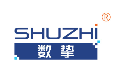 数挚
shuzi