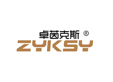 卓茵克斯 ZYKSY