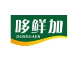 哆鲜加
DOSEGAES