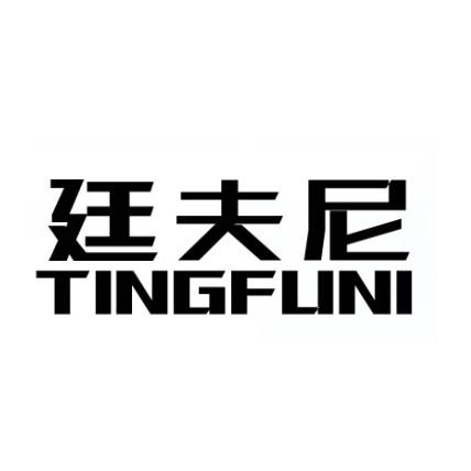廷夫尼