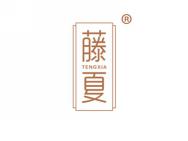 藤夏