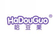 哈豆果
