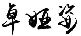 卓娅姿