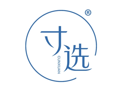 寸选