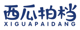 西瓜拍档