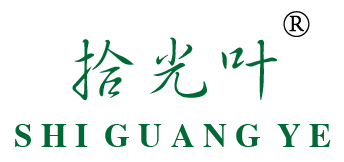 拾光叶
