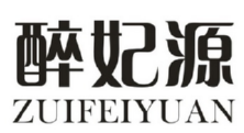 醉妃源