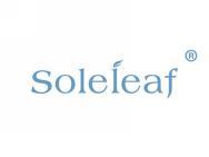 SoleLeaf“唯一的叶子”