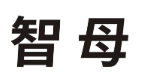 智母