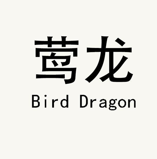 莺龙bird dragon