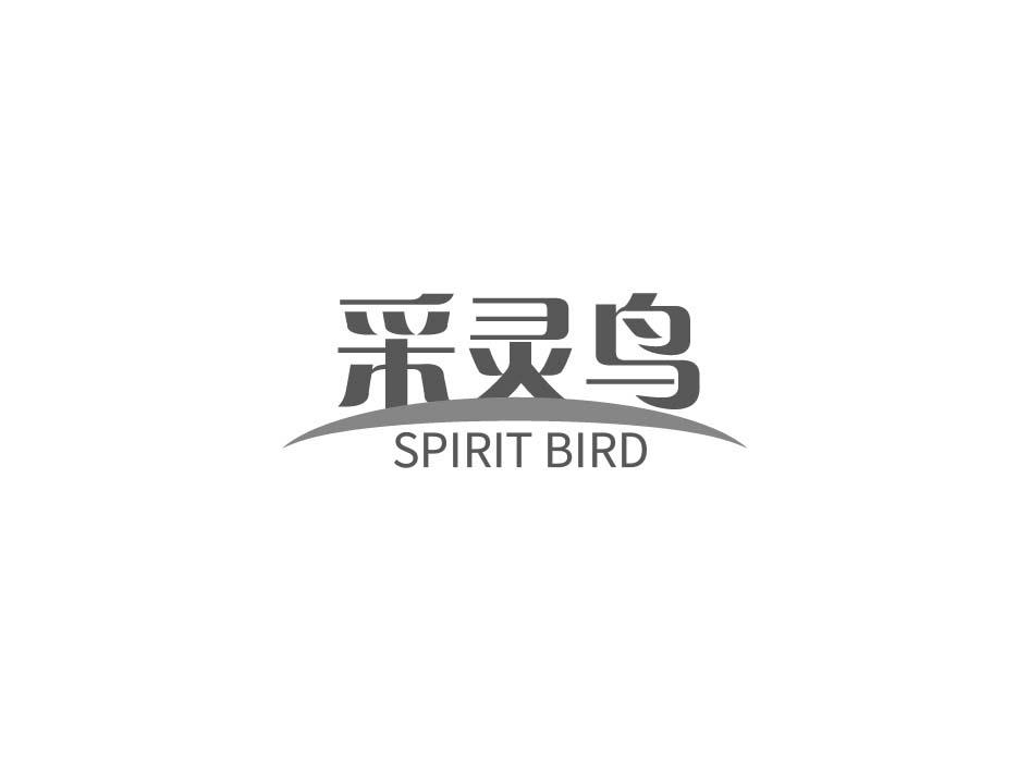 采灵鸟 SPIRIT BIRD