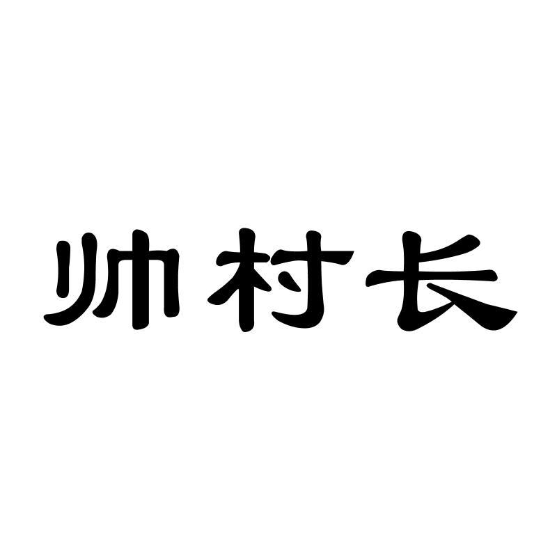 帅村长