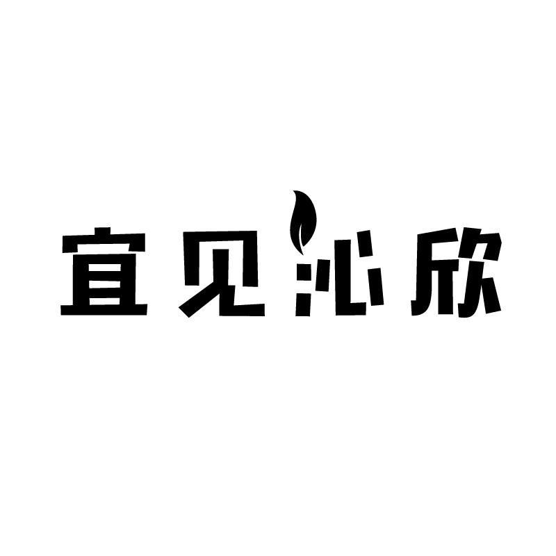 宜见沁欣