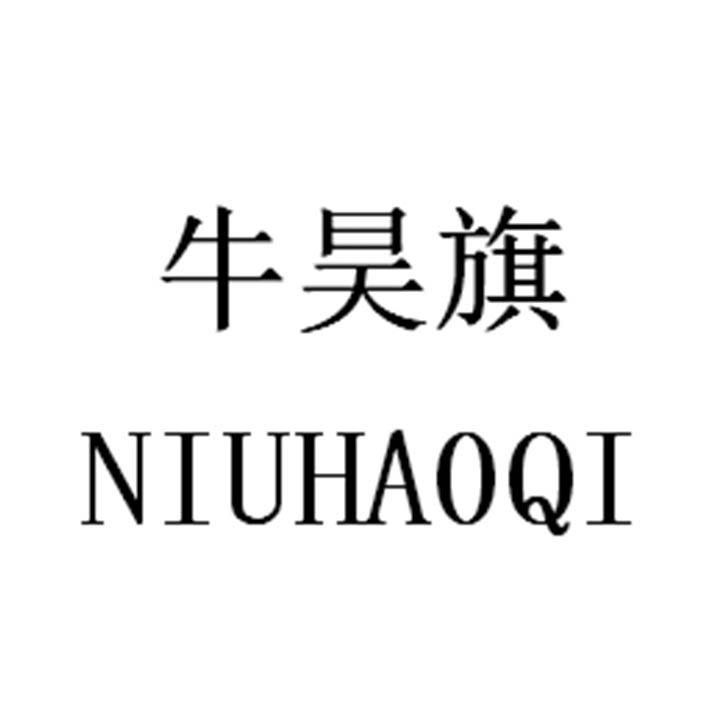 牛昊旗NIUHAIQI