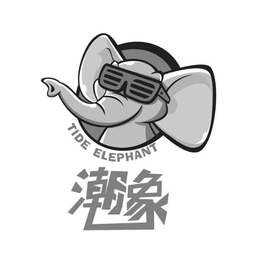 潮象 TIDE ELEPHANT