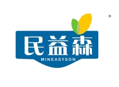 民益森 MINEASYSON