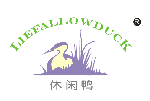 休闲鸭