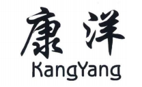 康洋
