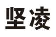 坚凌