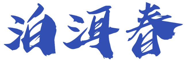 泊洱春