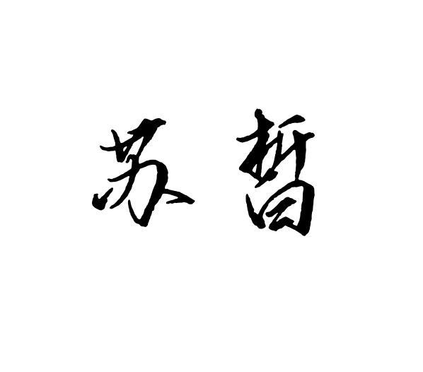 苏皙