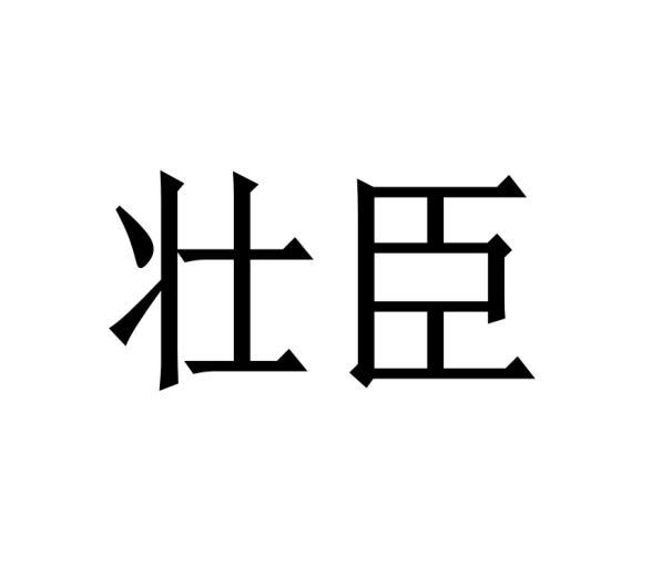 壮臣