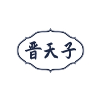晋天子
