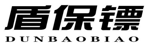 盾保镖